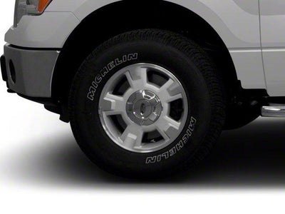 2010 Ford F-150 STX