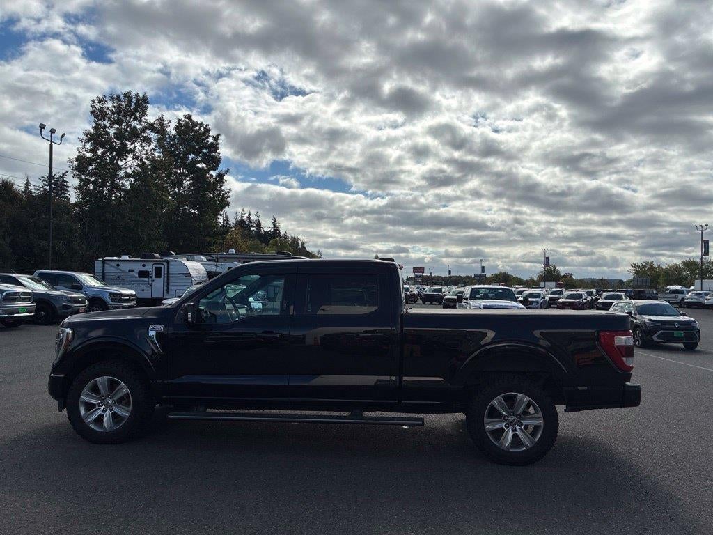 2021 Ford F-150 Platinum